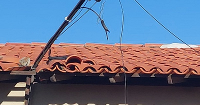 Caminhão carregado de madeira derruba fios de energia na rua Francisco Castro