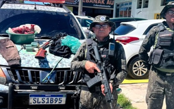 PM apreende arma de fogo, munições e animais silvestres abatidos durante ação do BPA em Teresina