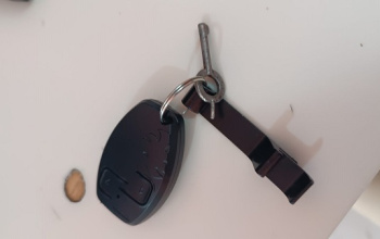CLASSIFICADOS: Encontrada uma chave com um controle remoto perto da Prefeitura de Floriano