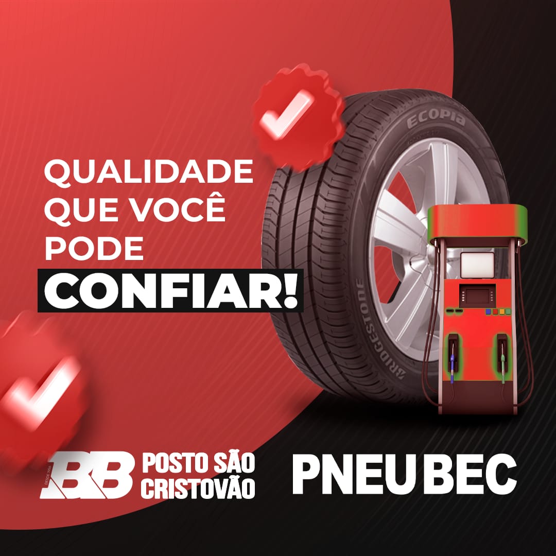 pneubec