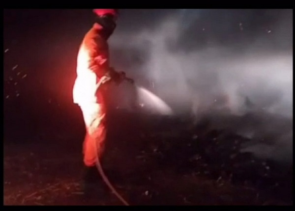 Imagem do WhatsApp de 2025 08 29 às 01.13.56 ee13d832