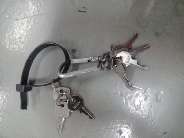 Imagem do WhatsApp de 2025 12 01 às 08.47.33 ed299c49