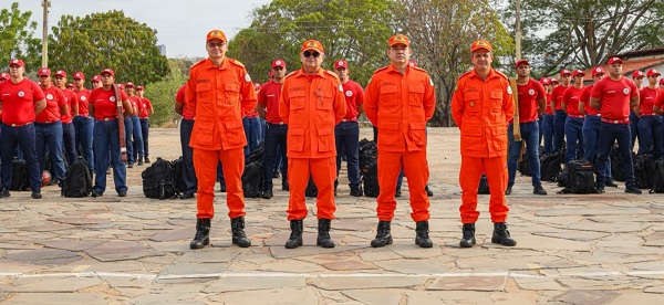 Imagem do WhatsApp de 2025 12 08 às 19.55.32 b2cf9dee