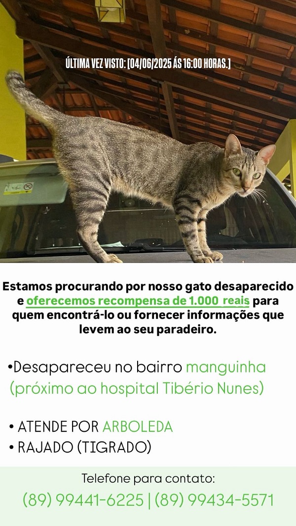 Imagem do WhatsApp de 2025 06 07 às 21.37.55 ba491e2a