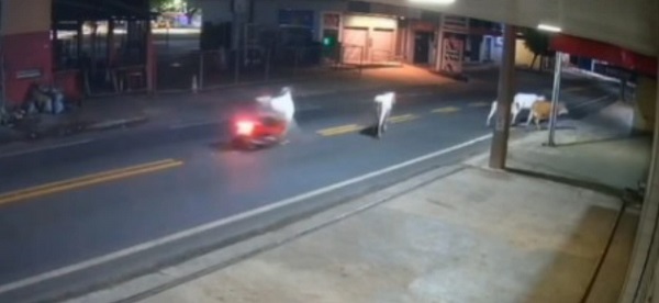 Imagem do WhatsApp de 2025 10 21 às 02.03.14 be7f04ab