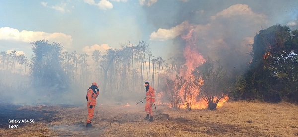 Imagem do WhatsApp de 2025 11 16 às 17.13.10 3f8edead