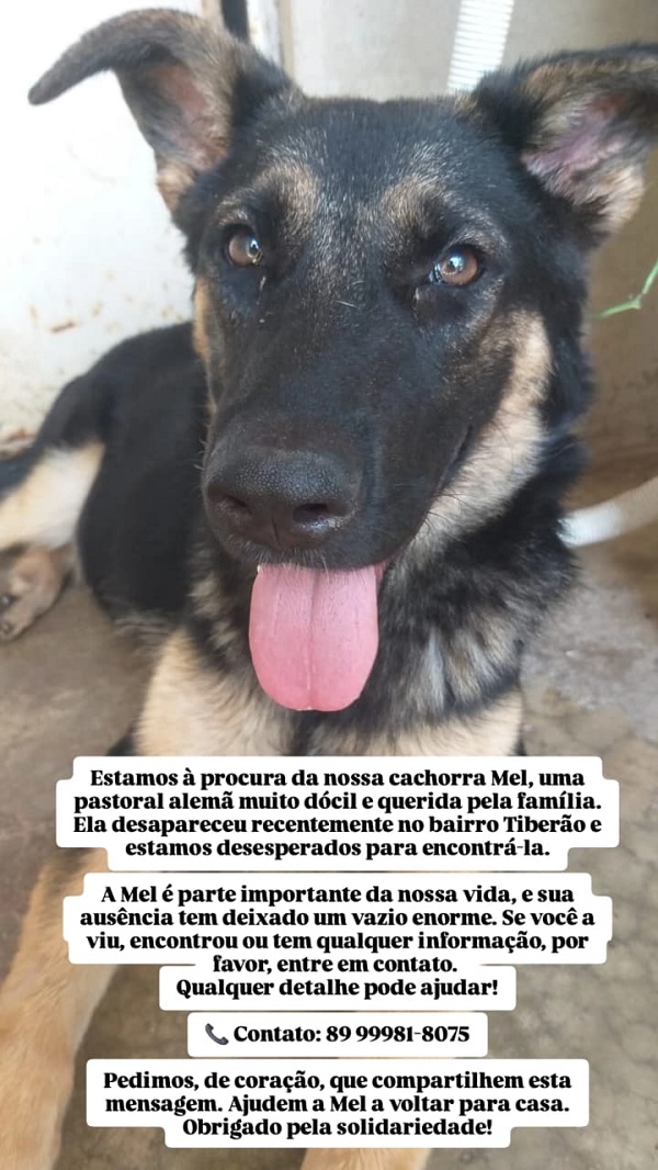 Imagem do WhatsApp de 2025 11 20 às 14.54.28 ccee595f