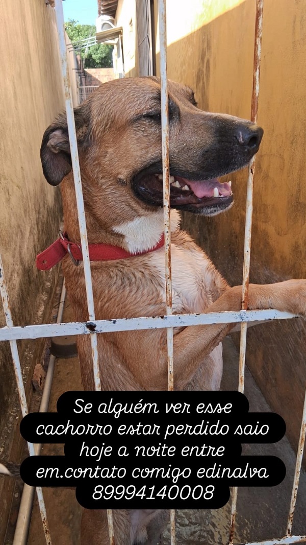 Imagem do WhatsApp de 2025 11 30 às 18.52.16 5e35f555