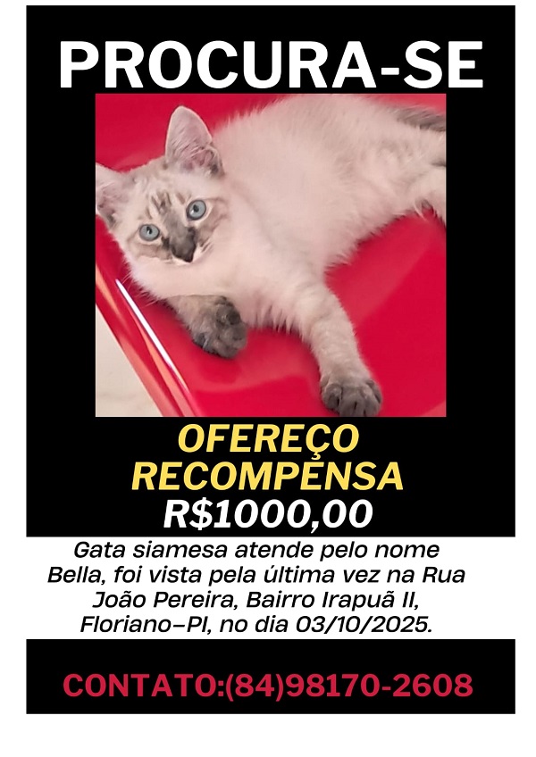 Imagem do WhatsApp de 2025 10 07 às 14.38.42 dcb0831f