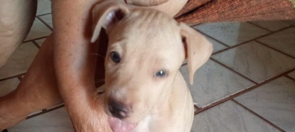 Imagem do WhatsApp de 2025 10 07 às 15.32.12 5125f60e