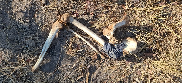 Imagem do WhatsApp de 2025 10 18 às 19.42.31 d597e0bc