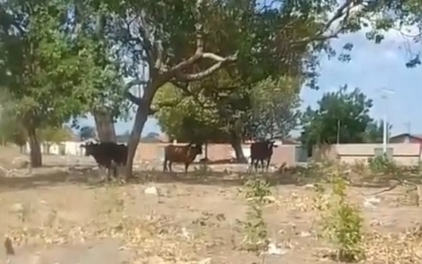 image 2025 10 20T163320.021