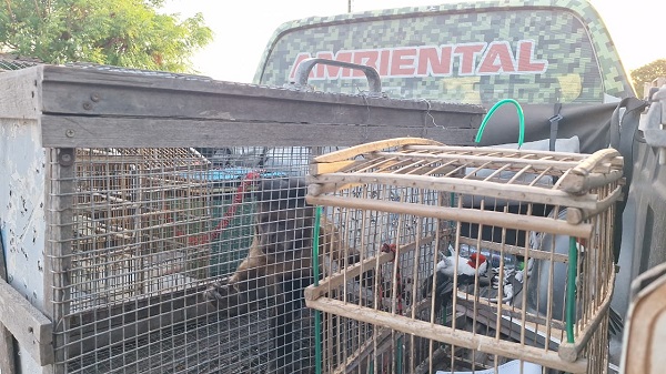 Imagem do WhatsApp de 2025 09 18 às 20.43.58 d07de1d3