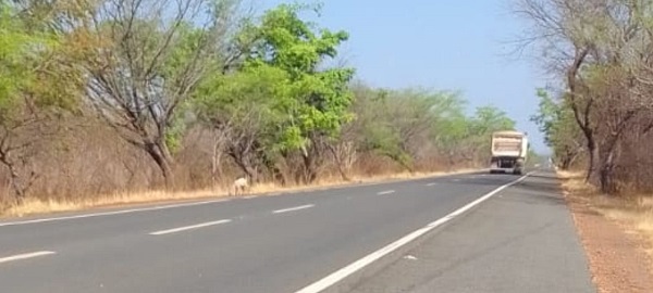 WhatsApp Image 2025 09 23 at 11.12.18