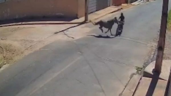 image 2025 10 02T145220.669