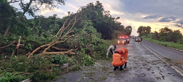 WhatsApp Image 2026 02 07 at 06.09.18