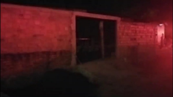 WhatsApp Image 2026 02 18 at 05.56.08