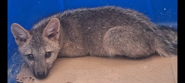 WhatsApp Image 2026 02 24 at 11.29.36