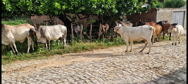 WhatsApp Image 2026 01 18 at 14.52.29