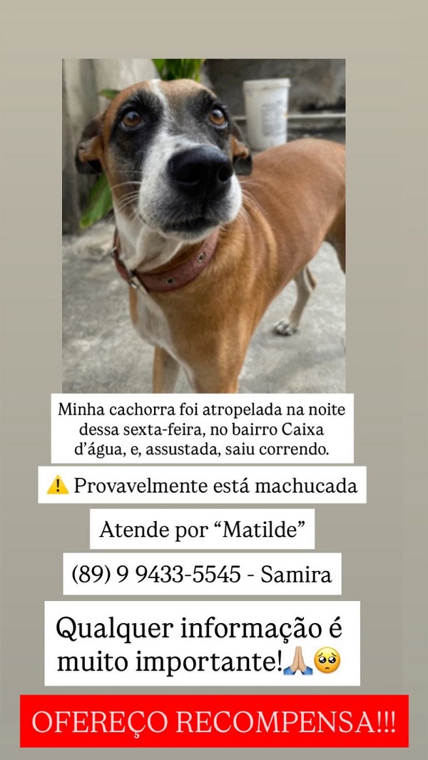 WhatsApp Image 2026 01 24 at 12.30.49