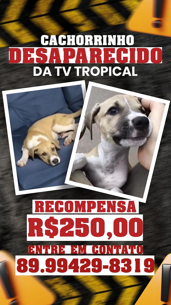 WhatsApp Image 2026 01 27 at 17.41.53