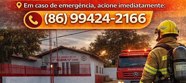 WhatsApp Image 2026 03 01 at 05.55.42