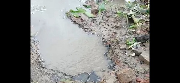 WhatsApp Image 2026 03 06 at 10.40.02