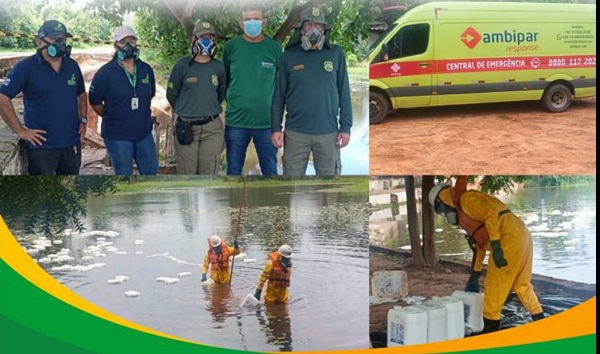 WhatsApp Image 2026 03 09 at 04.26.20